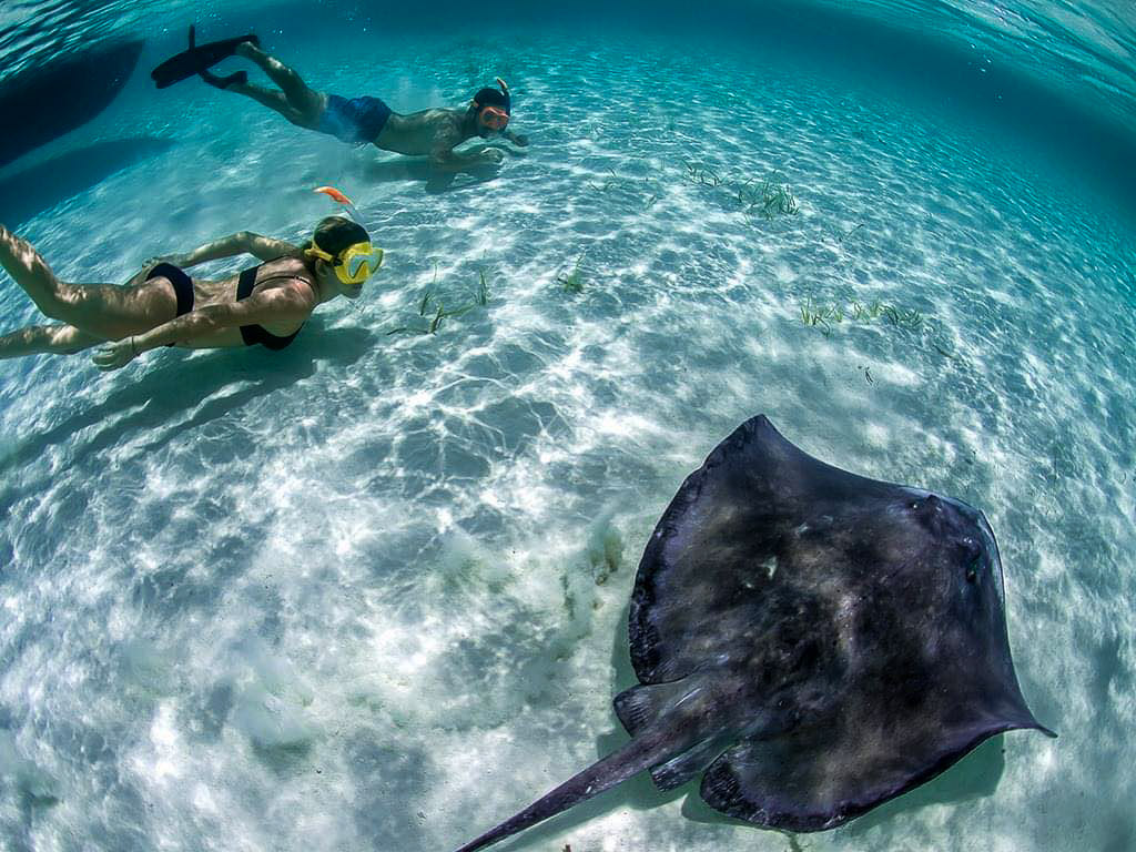 Cozumel Cielo + Lancha Transparente | Jumping Travel