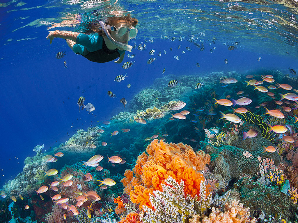 Cozumel Cielo + Lancha Transparente | Jumping Travel